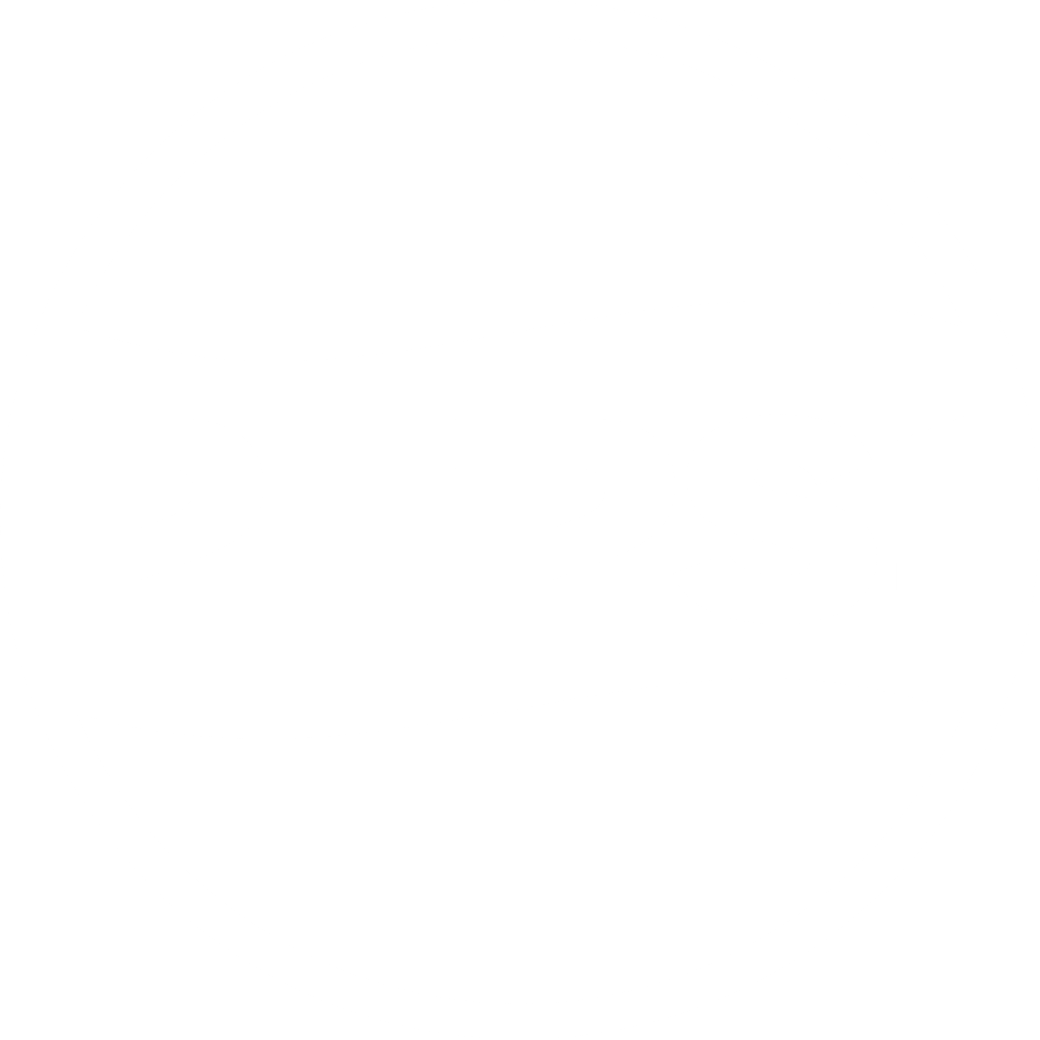 Pepsi Logo